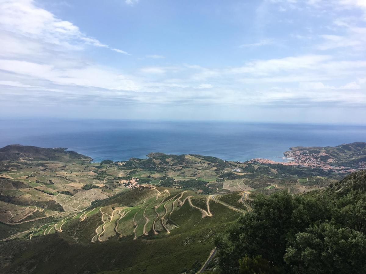 Vue Mer Panoramique Exceptionnelle L T2 Mezzanine Luxueux Banyuls-sur-Mer Exterior foto